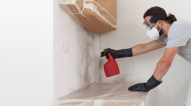 Professional Crawl Space Mold Removal technician working in Lincoln, IL