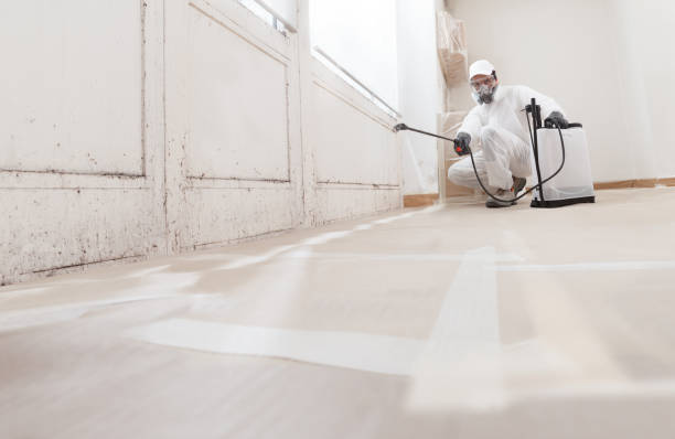24/7 Emergency Crawl Space Mold Removal experts in Lincoln, IL